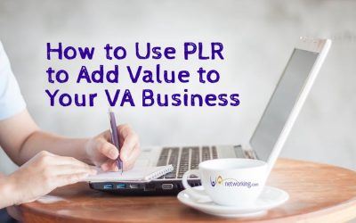 How to Use PLR to Increase Your VA Reputation Online