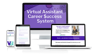 Virtual Assistant Career System